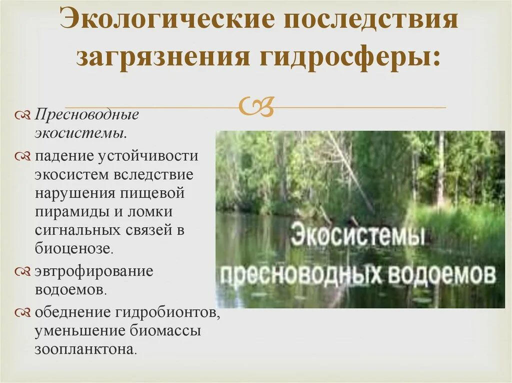 Последствия природных загрязнений. Последдствиязагрязнения гидросферы. Последствия загрязнения гидросферы. Экологические последствия загрязнения гидросферы. Экологические последствия для гидросферы.