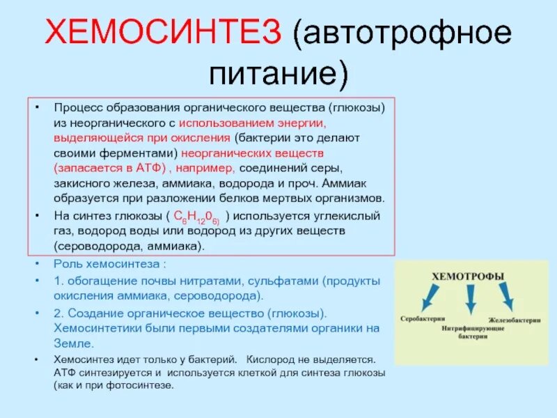 Хемосинтез источник. Этапы процесса хемосинтеза. Основные разновидности хемосинтеза. Хемосинтез последовательность процессов. Фотосинтез и хемосинтез.