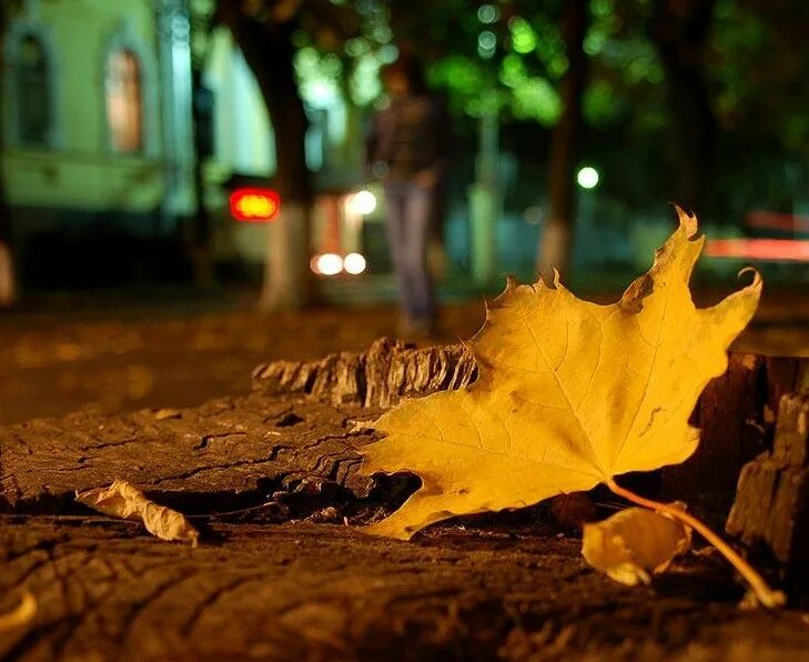 Однажды осенним вечером. Осенний вечер. Осенняя ночь. Осень листья вечер. Осень листья ночь.