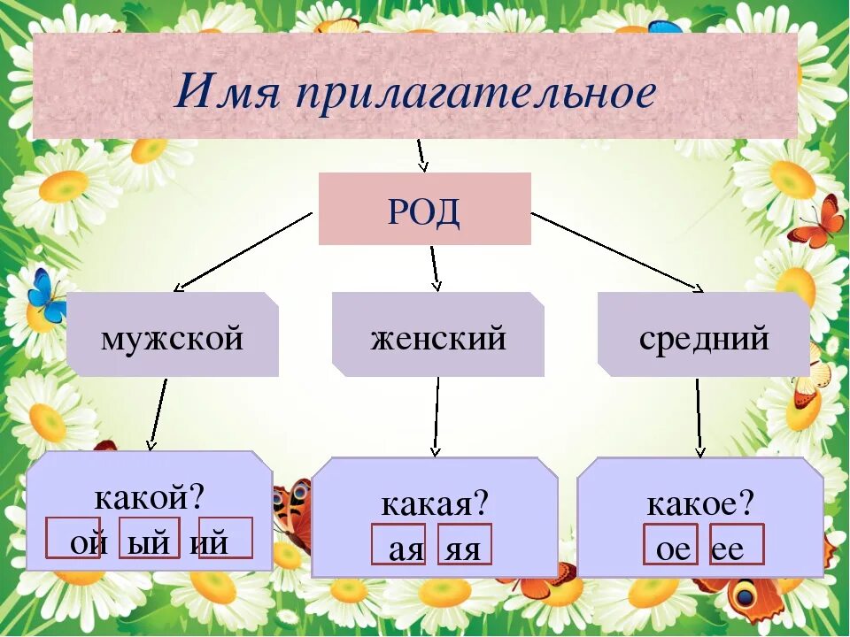 Окончания прилагательных мужского женского и среднего рода. Род имен прилагательных. Род имениприлагательных. Род имён существительных и прилагательных 3 класс. Окончания имен прилагательных по родам.