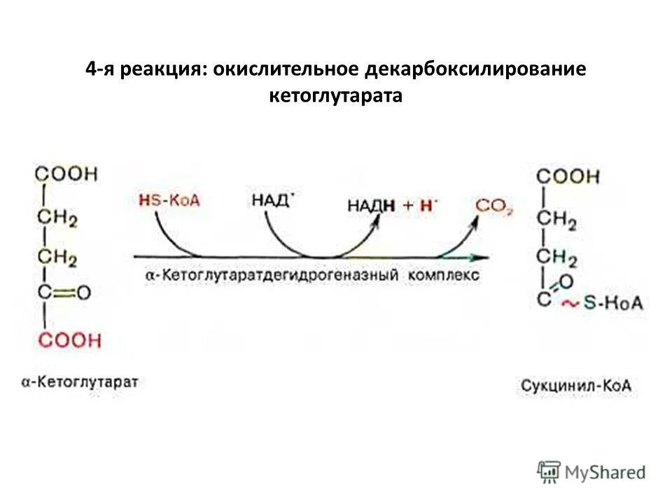 Анаэробный распад