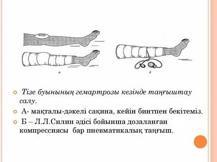 Порно онлайн кеңсесі