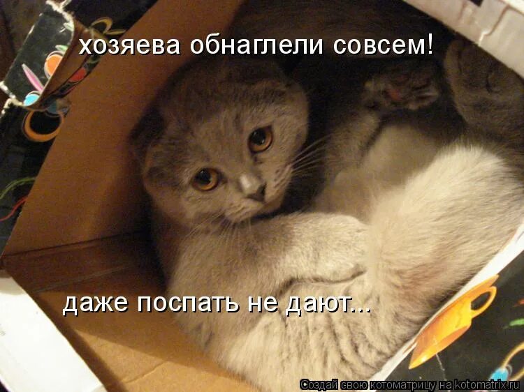 Если ваша тусовка не похожа на эту даже. Что то твой голос на мамин совсем не похож. Дети спят в детском саду. Я тебя люблю поверь. Совсем забыл.