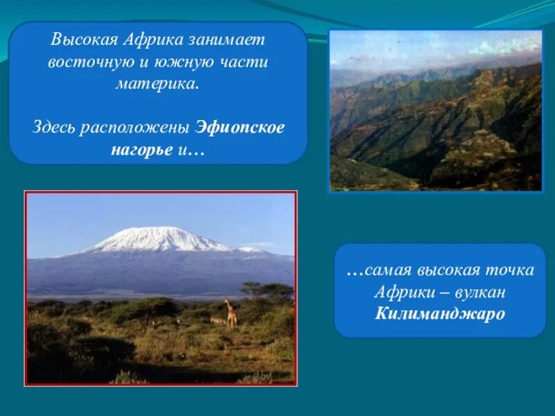 Самая высокая точка Африки вулкан. Эфиопское Нагорье наивысшая точка. Вулкан Килиманджаро и Эфиопское Нагорье. Вулканы Африки 7 класс география.