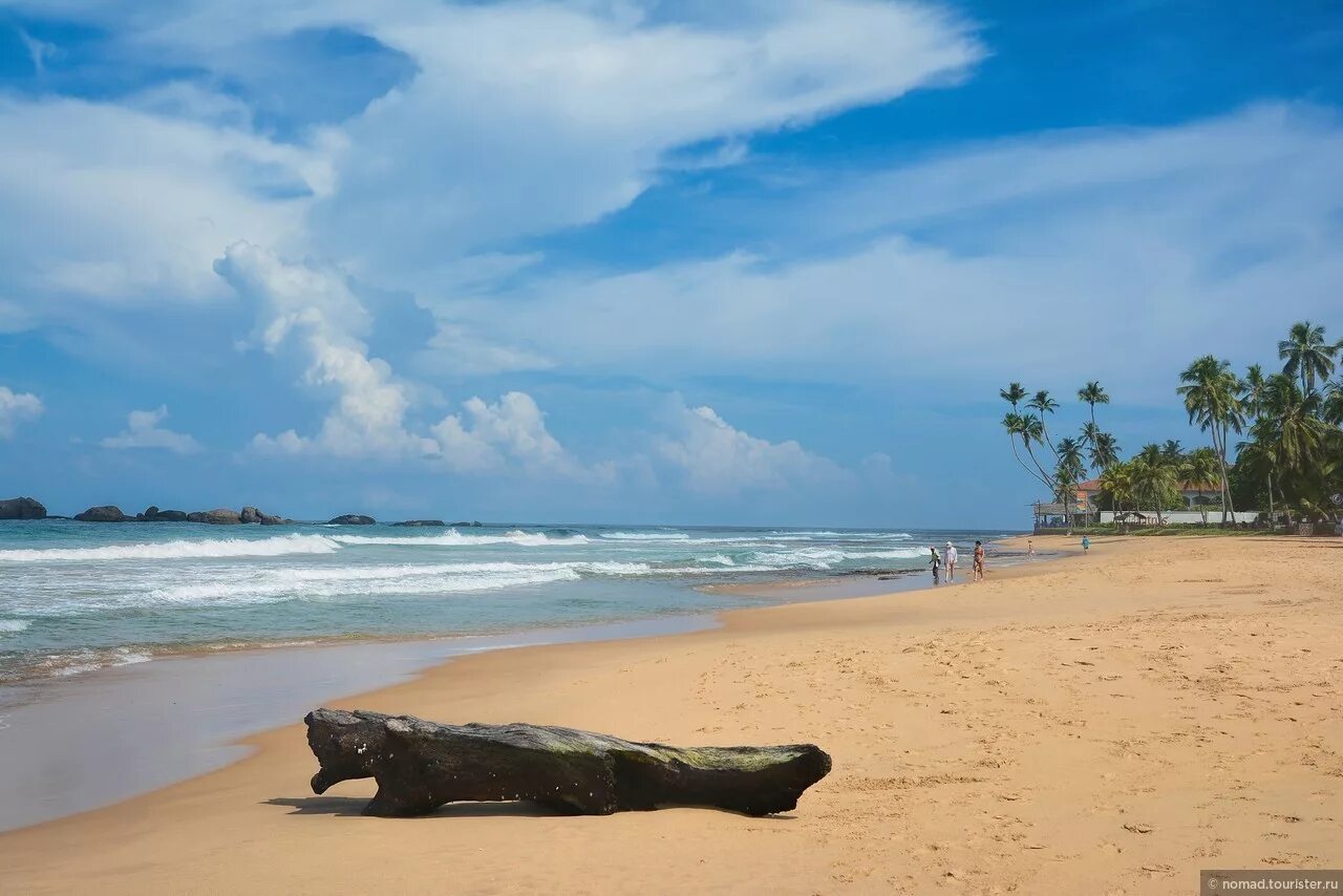 Пляж хиккадува шри. Пляж Хиккадува Шри Ланка. Шри Ланка Галле Хиккадува. Пляж Хиккадува Шри Ланка черепахи. Пляж Хиккадува на Шри Ланке.