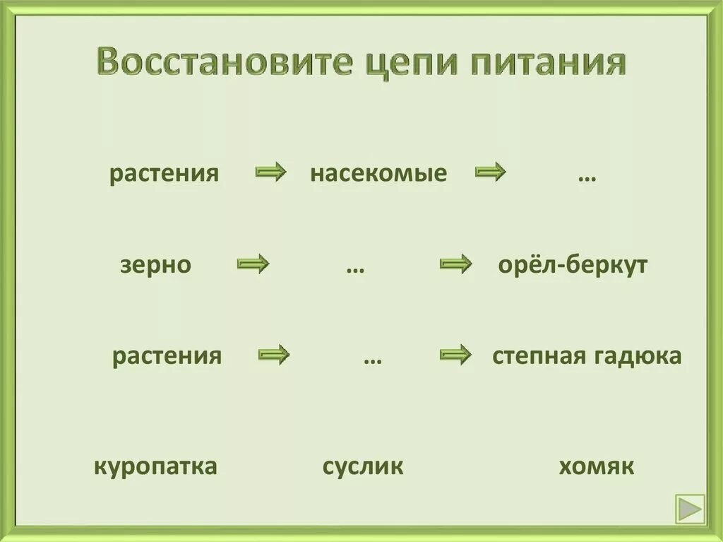 3 цепи питания 5 класс. Цепи питания. Пищевая цепочка. Пищевая цепочка питания. Звенья цепи питания.