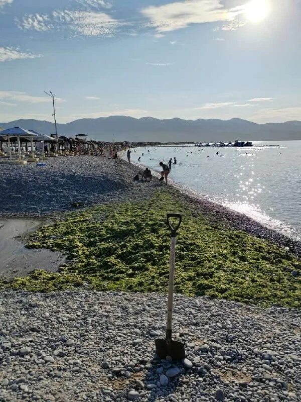 пицунда после шторма ноябрь 2023