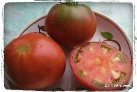 Томат кубанский