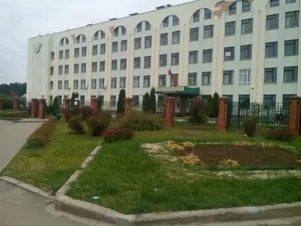 Тимирязевка калуга