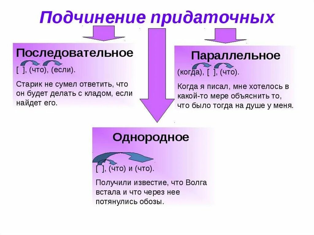 Придаточные железы мужчины. СПП последовательное параллельное однородное. Последовательное однородное параллельное подчинение. Типы присоединения придаточных в СПП. Сложное предложение с параллельным подчинением придаточных.