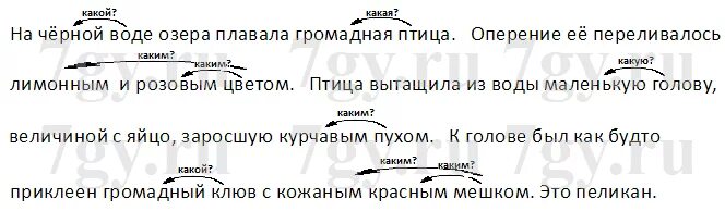 На черной воде плавала громадная птица 4