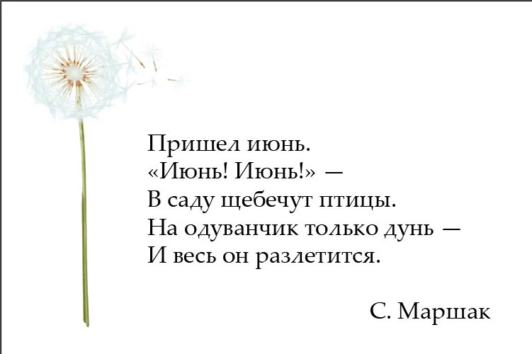 Стих про июнь короткий. Стих про лето четверостишье. Четверостишье про июнь. Стих июнь июнь