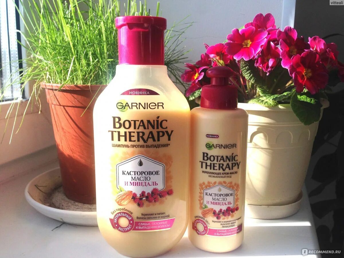 Botanic therapy garnier касторовое масло. Garnier Botanic Therapy касторовое масло и миндаль. Garnier Botanic Therapy миндаль шампунь. Botanic Therapy касторовое масло и миндаль шампунь. Гарньер шампунь с касторовым маслом и миндалем.