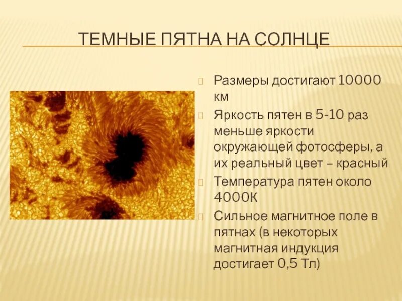 Размер пятна. Солнечные пятна презентация. Темные пятна на солнце. Пятна на солнце характеристика. Солнечные пятна кратко.