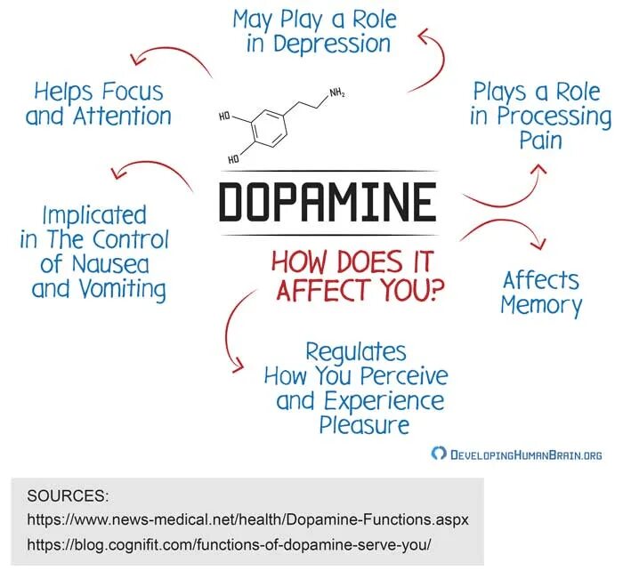 Why effect. Dopamine Detox. Dopamine плеер. Твое Dopamine. Dopamine Yoav.