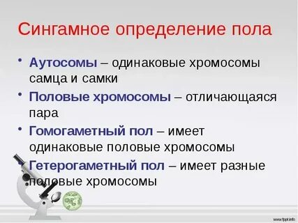 Хочу не иметь пола