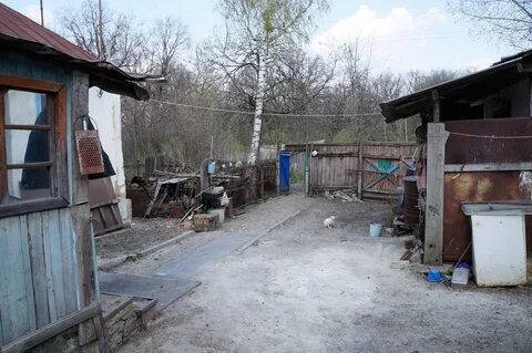 Прилепы
