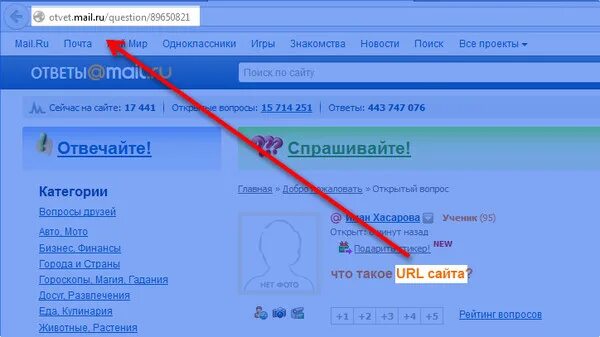 Что такое URL И где его найти?. Формат URL адреса. Адрес сайта. Что такое URL сайта.