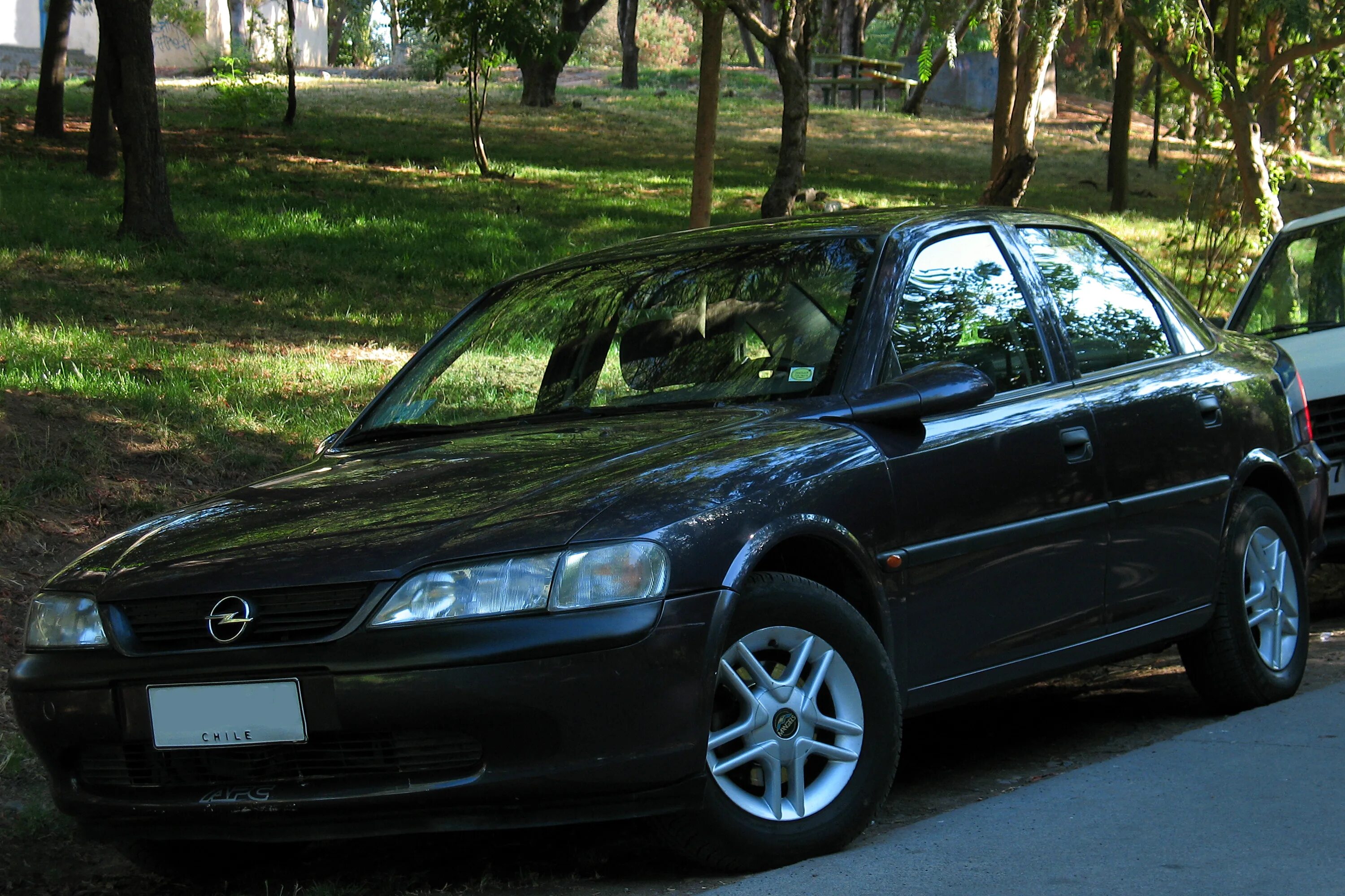 Опель вектра б 1998 год. Opel Vectra 1998. Opel Vectra b 1998. Опель Вектра 1.6 1998. Opel Vectra 98.