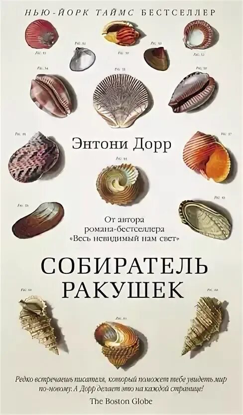 Аудиокнига собиратели ракушек слушать. Аудиокнига собиратели ракушек слушать