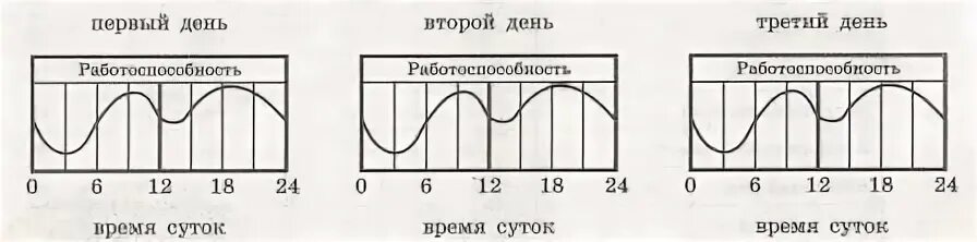 Какое общее свойство живых систем иллюстрирует график. На графике продемонстрированы измерения работоспособности человека. график изменения работоспособности в течение суток. на графике продемонстрированы изменения работоспособности человека. изменение работоспособности человека в течение дня.