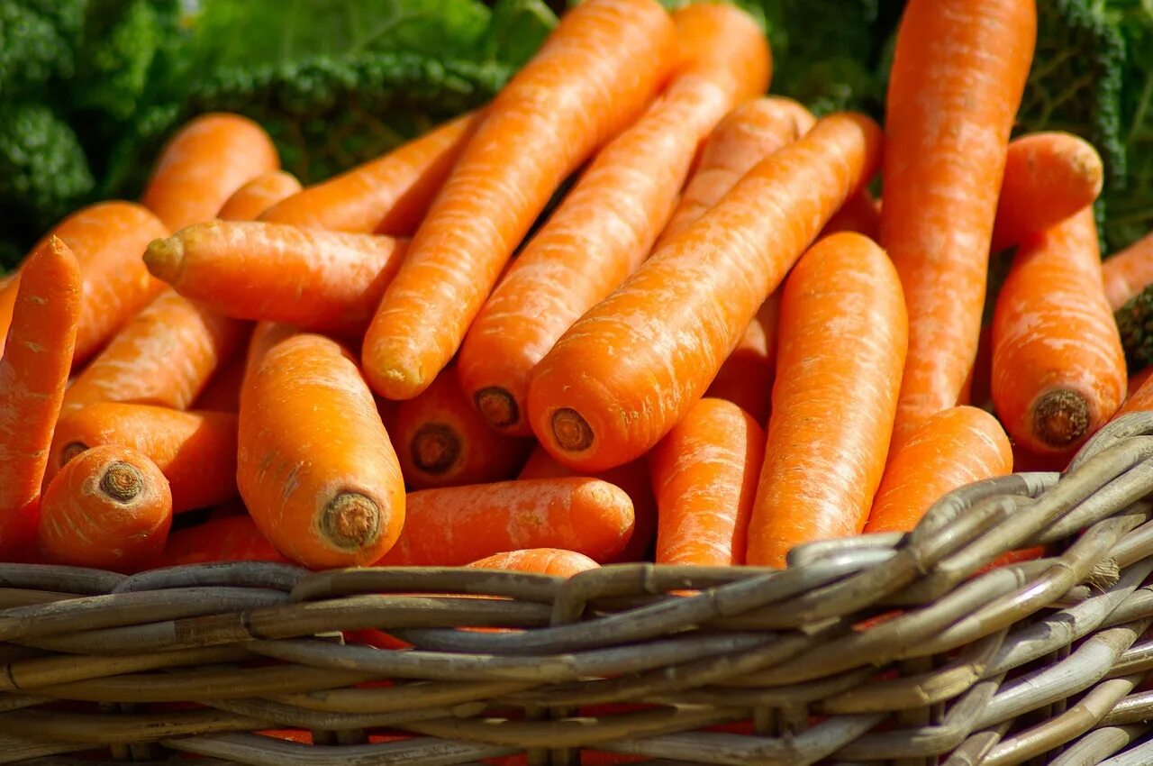 Carrot vegetable. Морковь гранулир. Витаминная. Красная морковь. Морковь свежая. Оранжевая морковь.