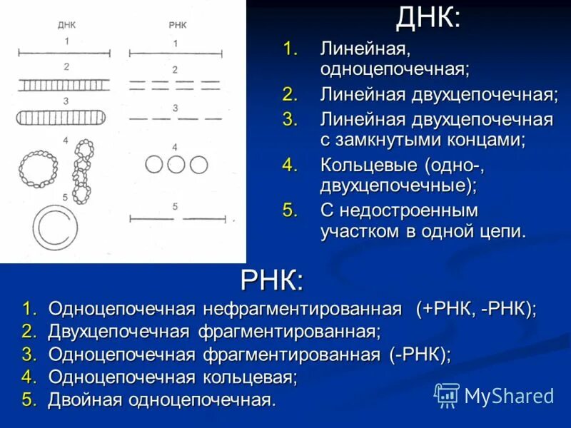 Кольцевые функции