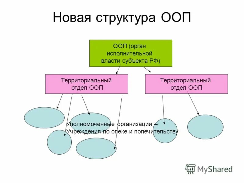 Структура органов опеки и попечительства (иерархия). Схема организационной структуры управления опеки и попечительства. Структура органов опеки и попечительства схема. Организационная структура отдела опеки и попечительства. Взаимодействие опеки и попечительства