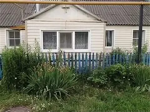 Авито данков недвижимость