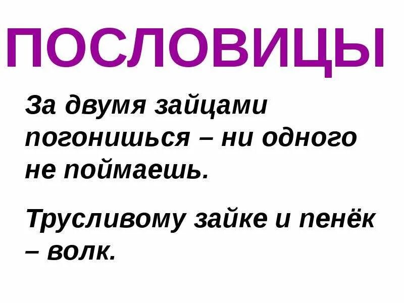 Пословицы про зайца. Пословицы и поговорки про зайца. Пословица про трусливого зайца. Пословицы про зайчика. Поговорка 2 зайцев