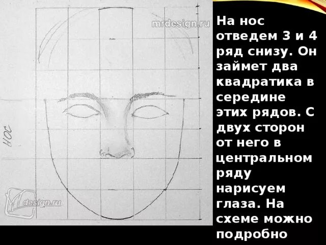 Пропорции лица 6. Пропорции лица 6