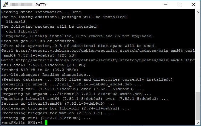 Bind установить. Berkeley internet name domain bind. bind9. bind9 сайт по домен. bind9 debian default file.