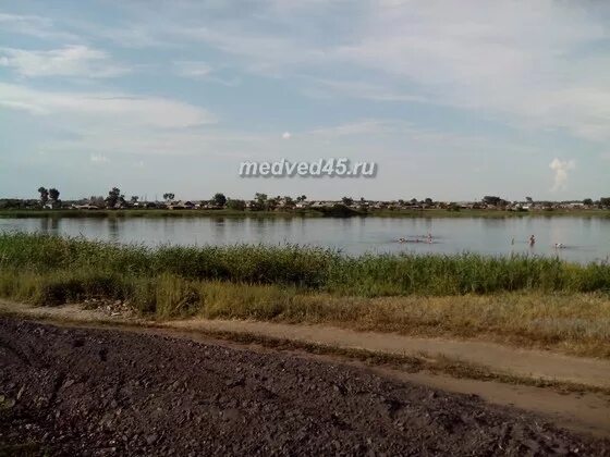 Ново ильинское курганская область. Курганская область катайский район с ильинское. Новое ильинское. Новое ильинское курганская область петуховский район. Новое ильинское.