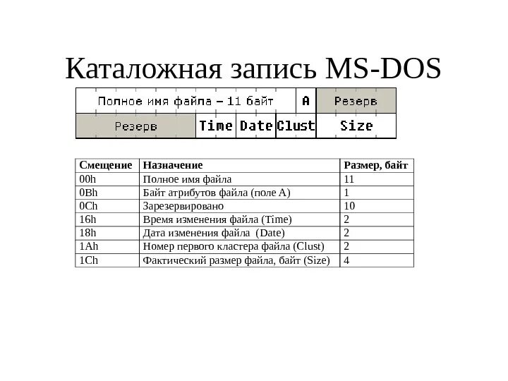 Запись мс. Каталожная запись. Имена файлов MS dos. Каталожная запись Unix. Байт атрибутов файла.