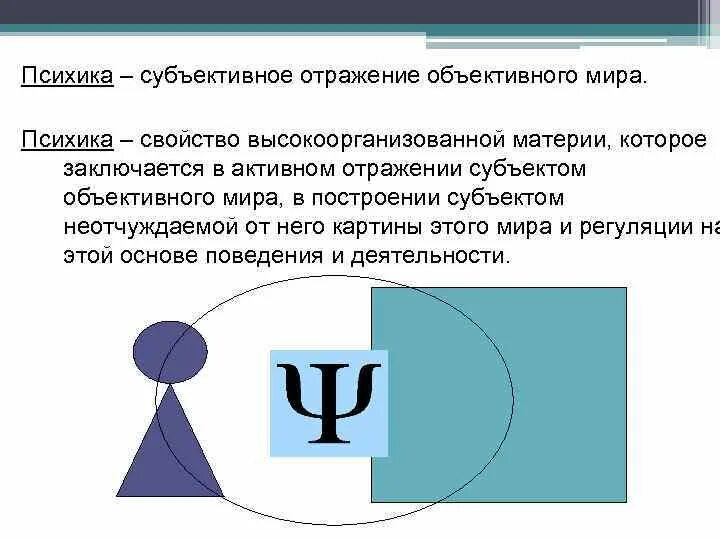 Субъективное отражение это. Субъективное отражение реальности