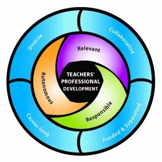 Professional development