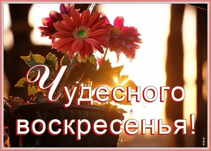 Картинки воскресенье выходной красивые с пожеланиями Доброе утро воскресенье августа картинки с пожеланиями