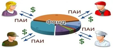 Инвестиционный фонд кооператива