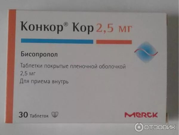Какой бывает конкор. Какой бывает конкор