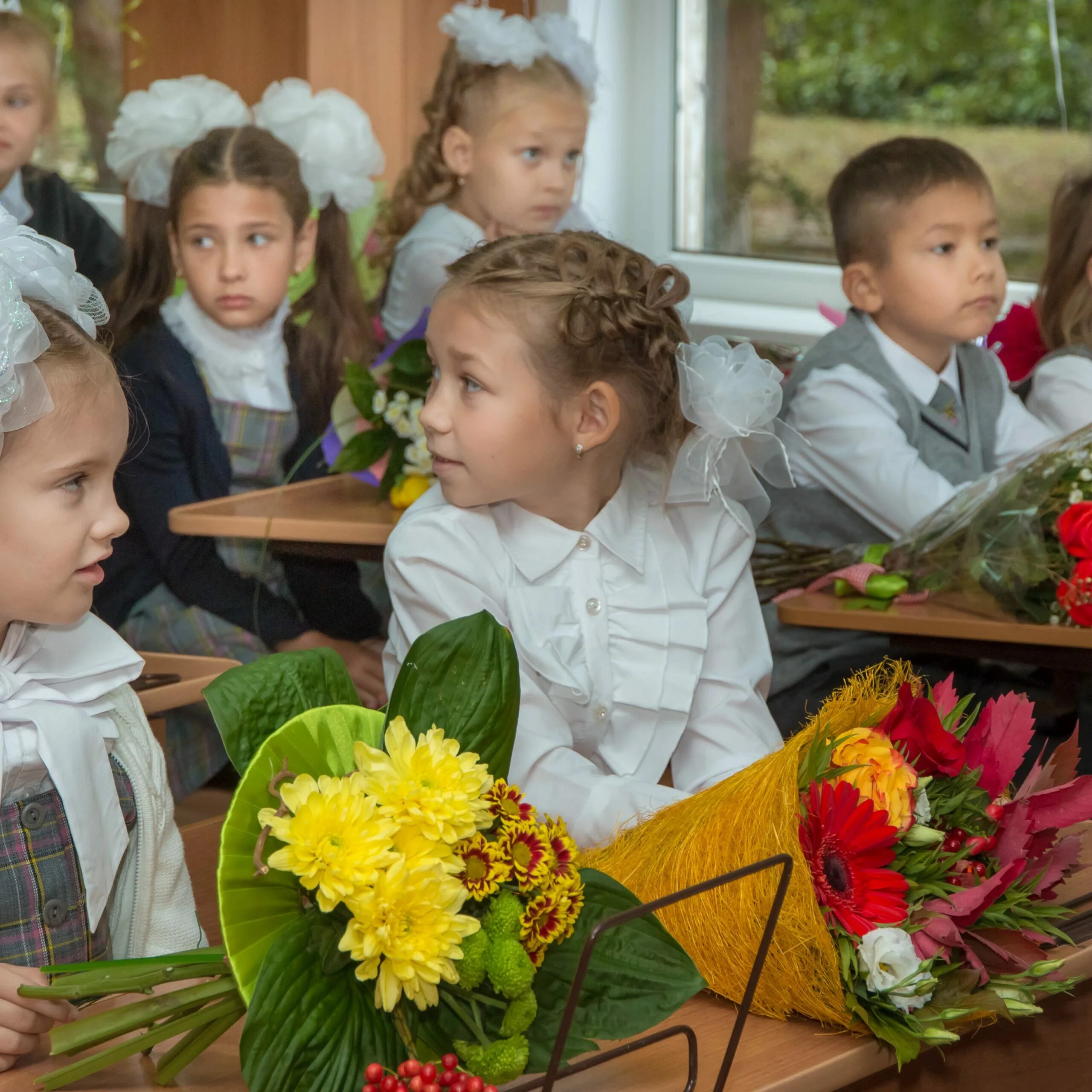 Первоклассники на линейке. Школа первый класс. Школьники первый класс. Первое сентября. Урок дня знаний