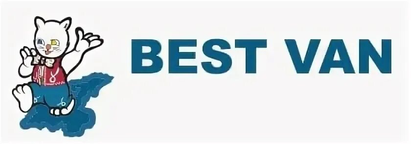 Best van