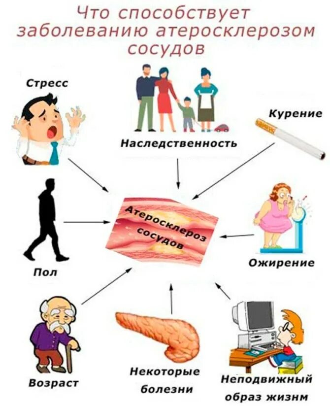 Атеросклероз симптомы причины. Факторы развития атеросклероза. причины развития атеросклероза сосудов. факторы риска развития атеросклероза сосудов:. факторы риска заболевания атеросклерозом.