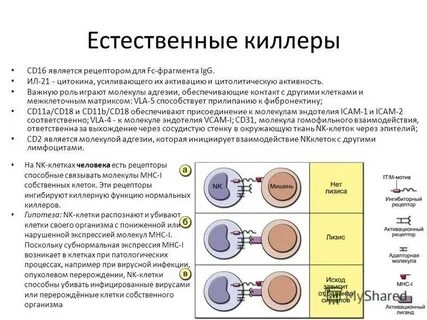 Реакция на инфекцию