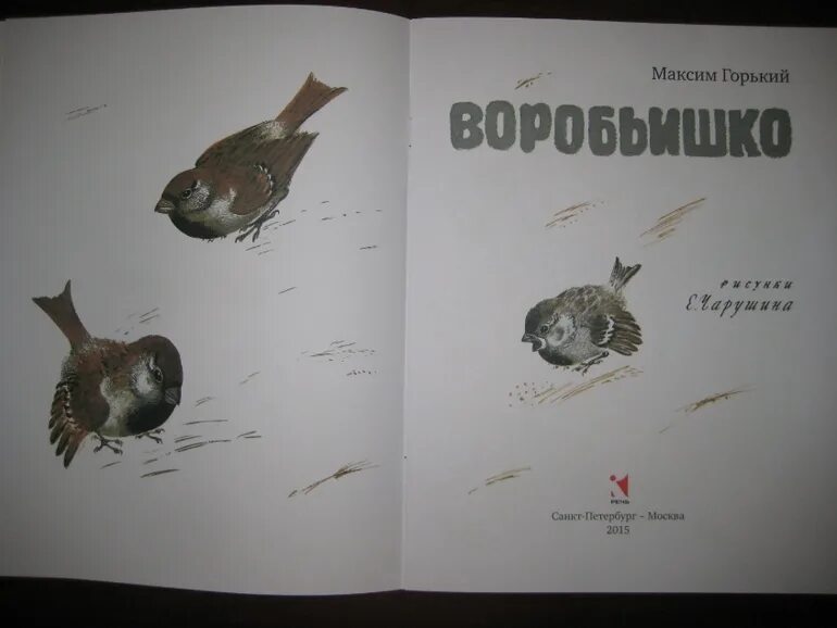 Горький воробьишко распечатать текст. Горький воробьишко распечатать текст