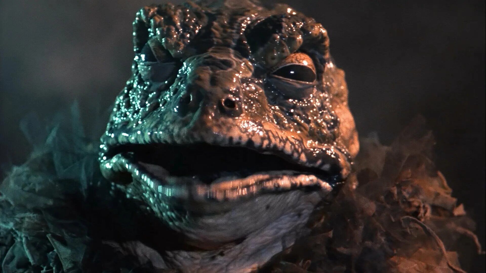 памятник царевне лягушке в калининграде. город жаба. звук жабы. борнейская плоская лягушка. памятник литературному герою в россии царевна лягушка.