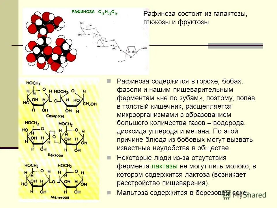 Какими ферментами расщепляются углеводы. Рафиноза. Рафиноза структурная формула. Углеводы структурные аспекты. Структурный углевод бактерий.