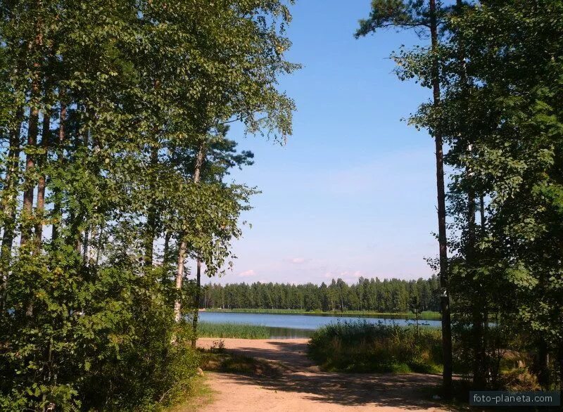 Озеро илистое решетниково. Решетниково озера. Решетниково озера. Озеро круглое решетниково. Рощино ловецкое озеро.