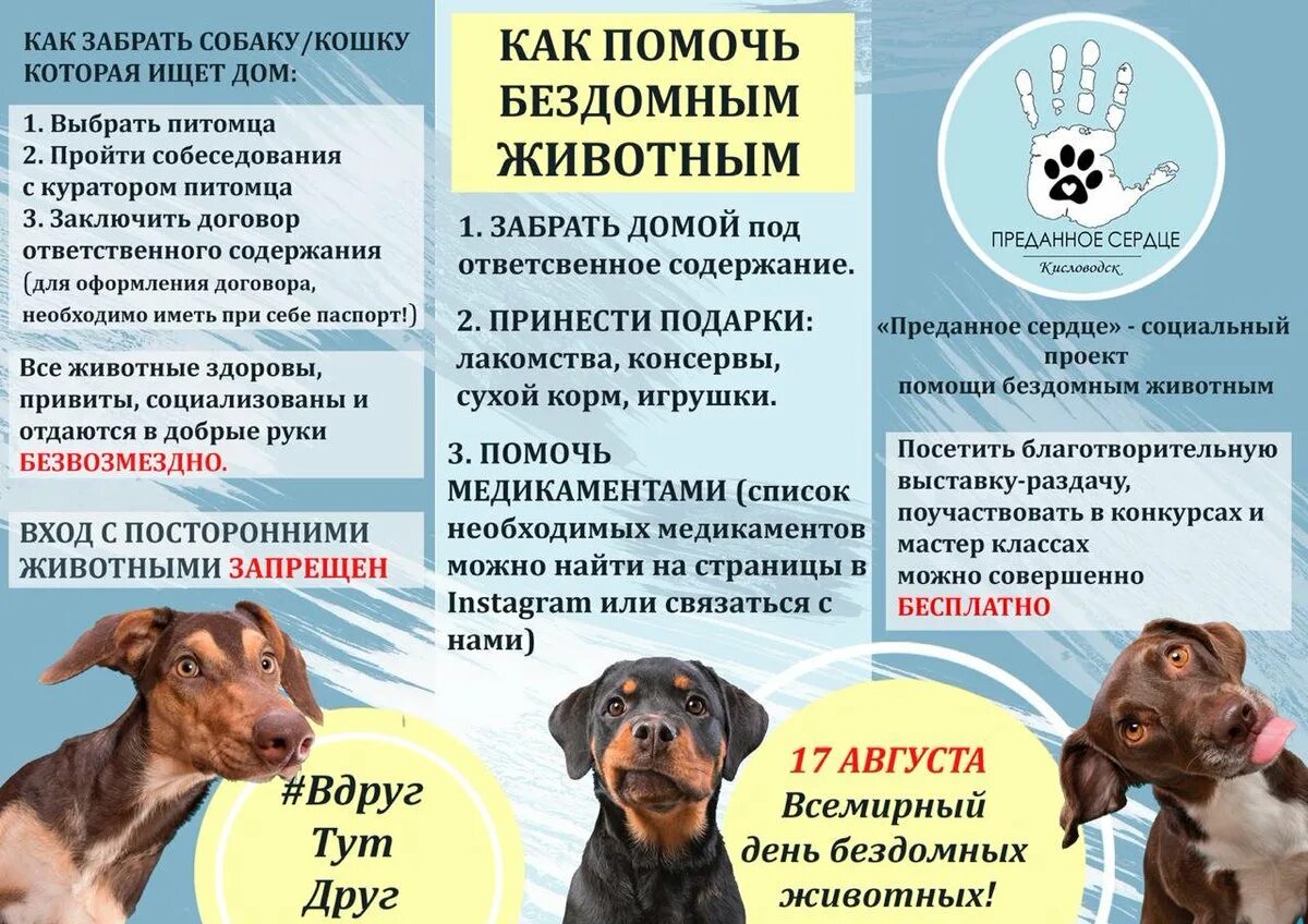 Программа помощи животного