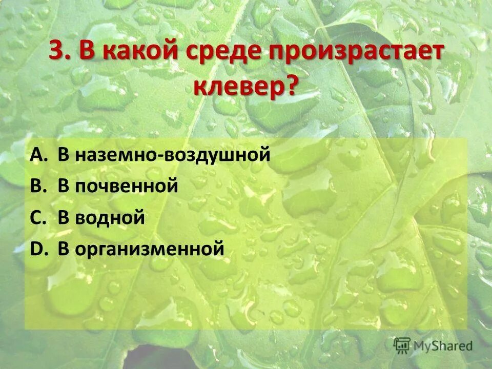 Особенность среды водная наземно воздушная почвенная организменная. Среда обитания клевера наземно воздушной. В какой среде произрастает Клевер. Какая среда. Таблица водная воздушная почвенная орга.