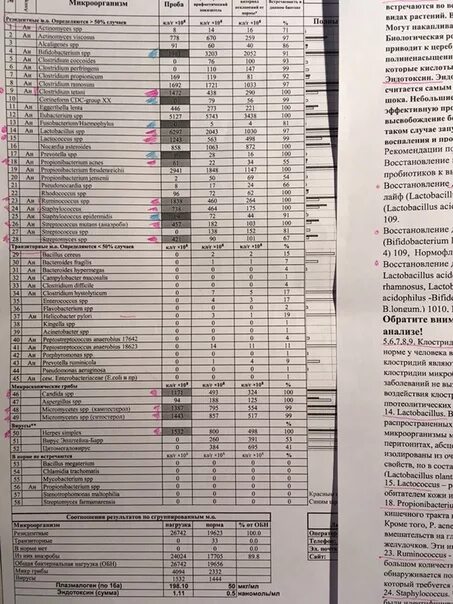 Определение микробиоценоза методом